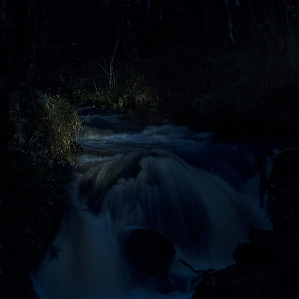Nocturnes: a nature writing workshop with Natalie Marr