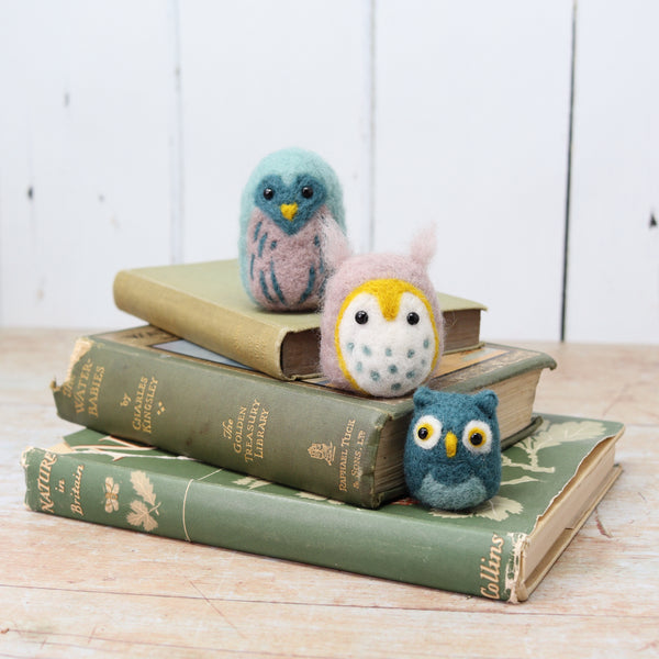 Owl Needle Felting Workshop - Sunday 26th June
